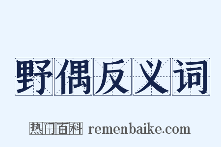 野偶反义词是什么意思的图片